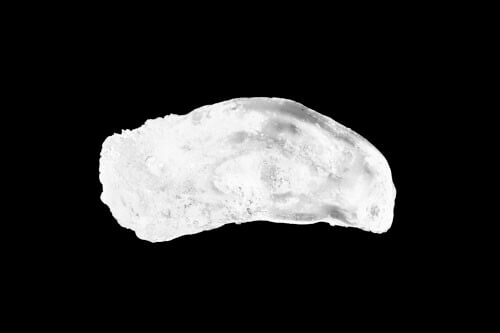 rachela abbate Muschel_grun-copy-2 moons  